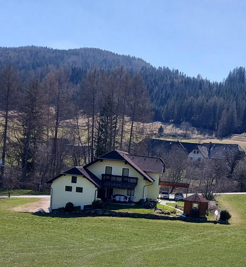 Greimblick Appartement Sankt Peter am Kammersberg Buitenkant foto