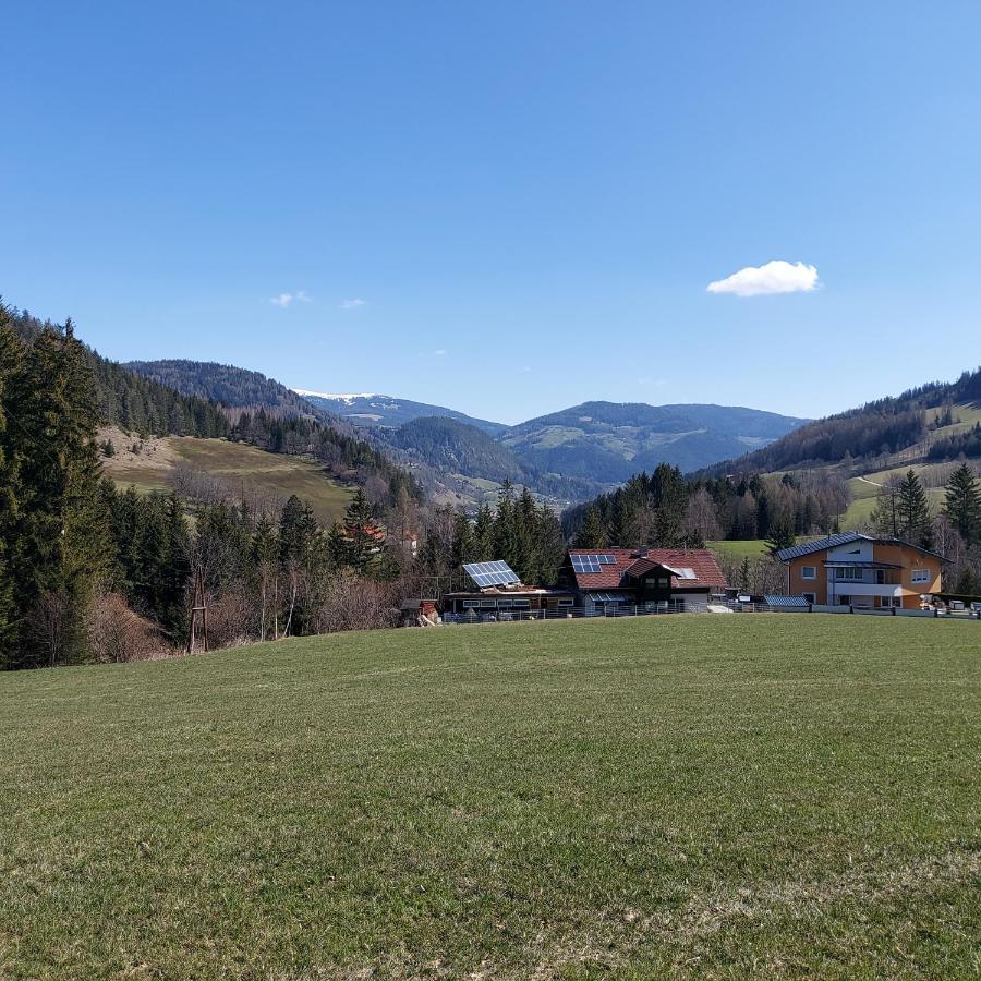 Greimblick Appartement Sankt Peter am Kammersberg Buitenkant foto