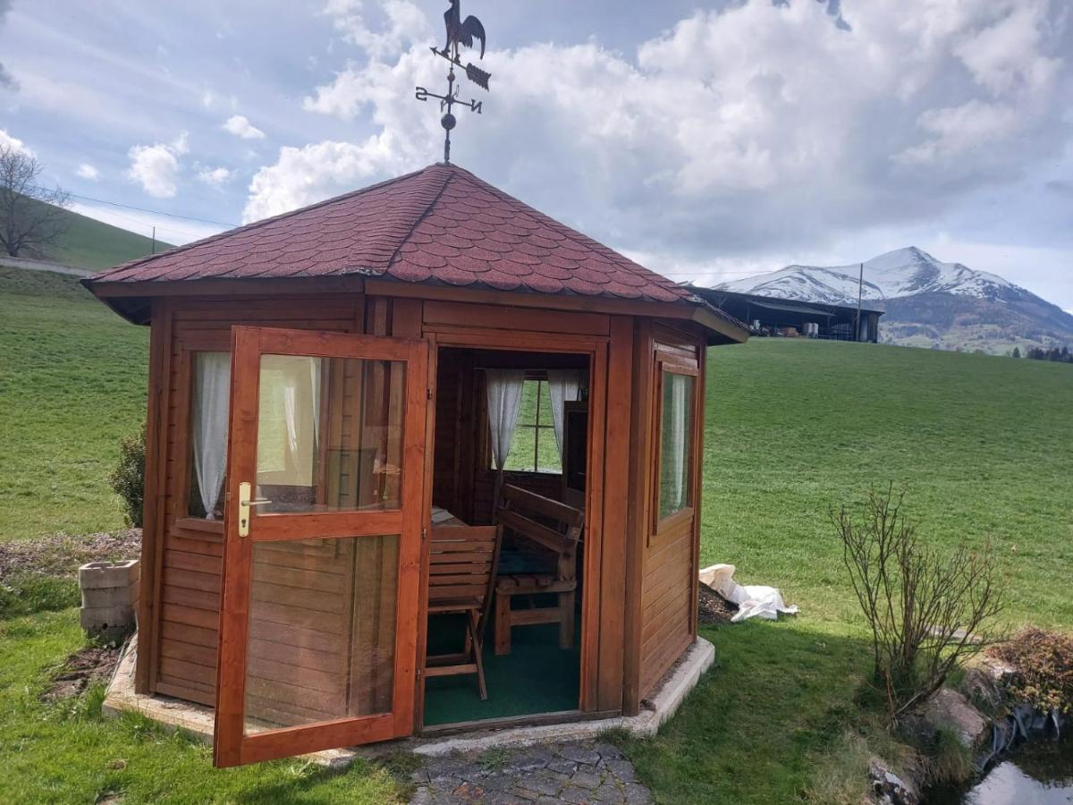 Greimblick Appartement Sankt Peter am Kammersberg Buitenkant foto