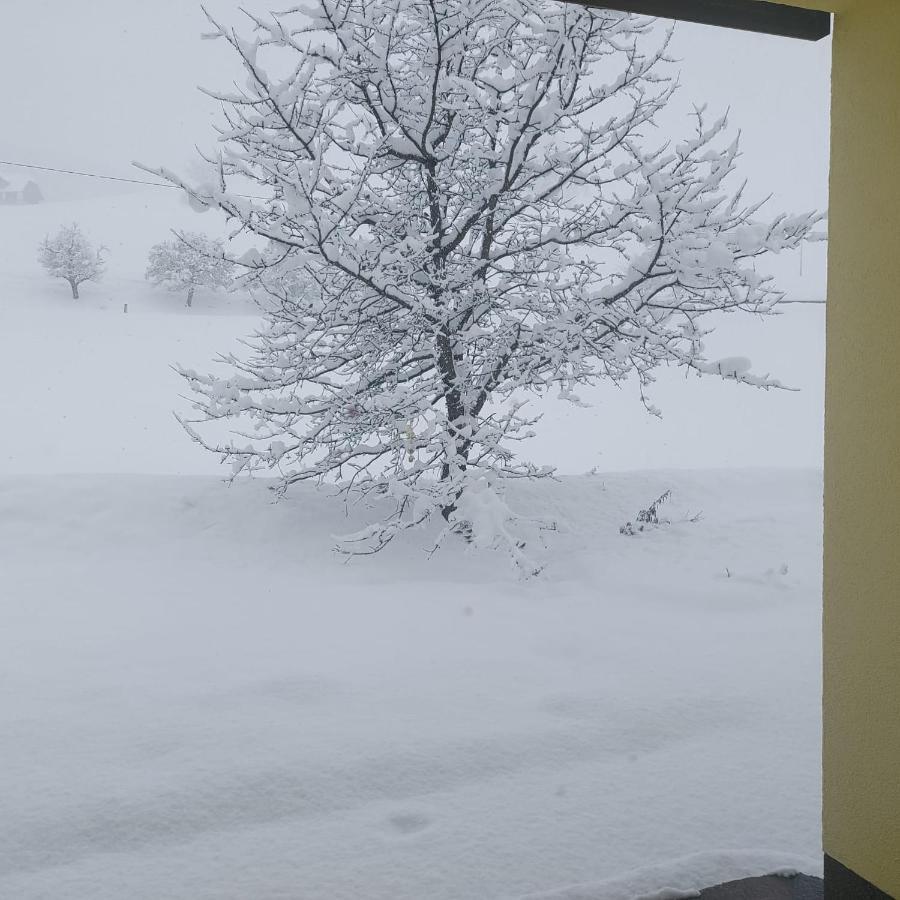 Greimblick Appartement Sankt Peter am Kammersberg Buitenkant foto
